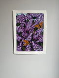 Lilac ~ Original Painting