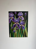 Iris ~ Original Painting