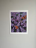 Lilac ~ Print