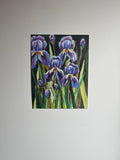 Iris ~Print