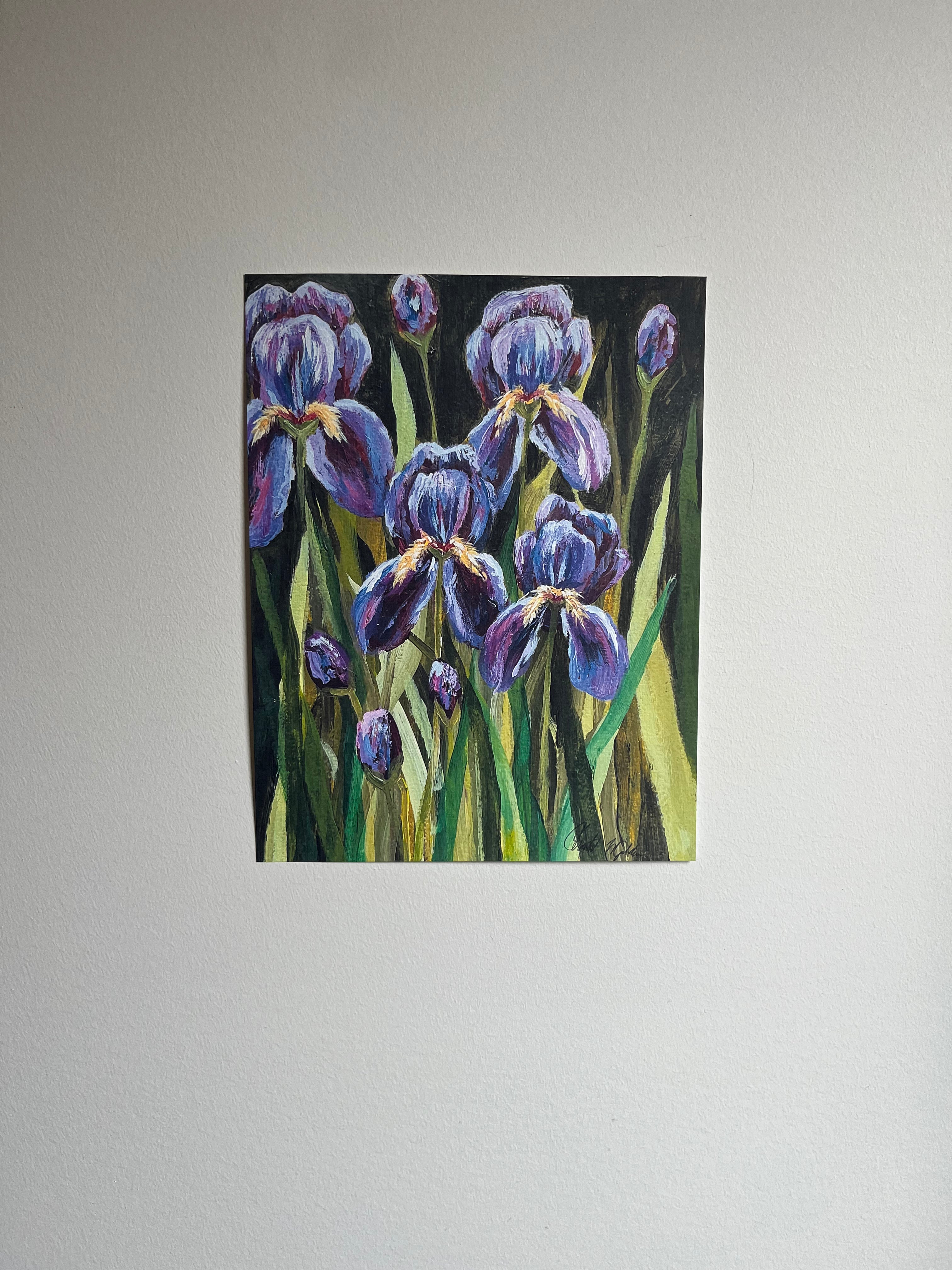 Iris ~Print